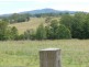 Wingham NSW 2429