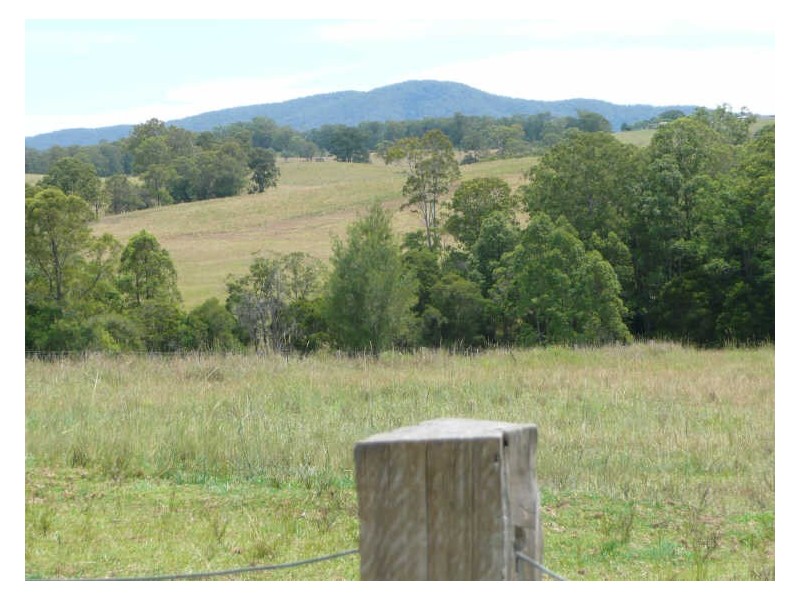 Wingham NSW 2429