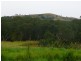 Wingham NSW 2429