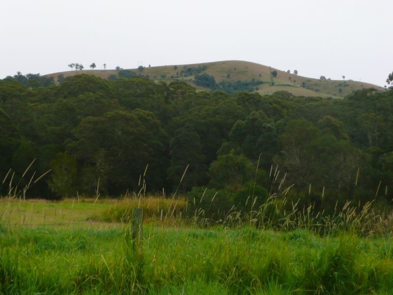 Wingham NSW 2429