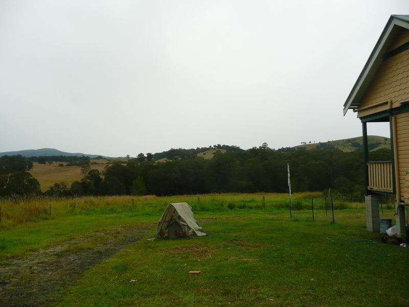 Wingham NSW 2429