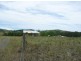 Wingham NSW 2429
