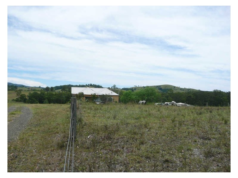 Wingham NSW 2429