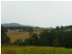 Wingham NSW 2429