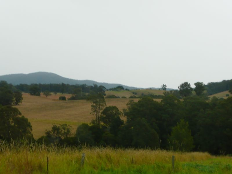 Wingham NSW 2429