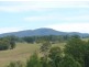 Wingham NSW 2429