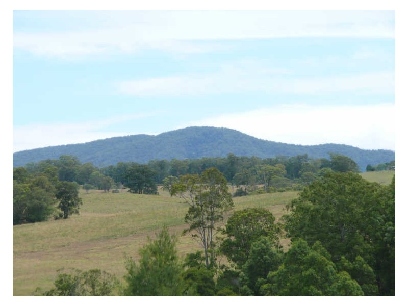 Wingham NSW 2429
