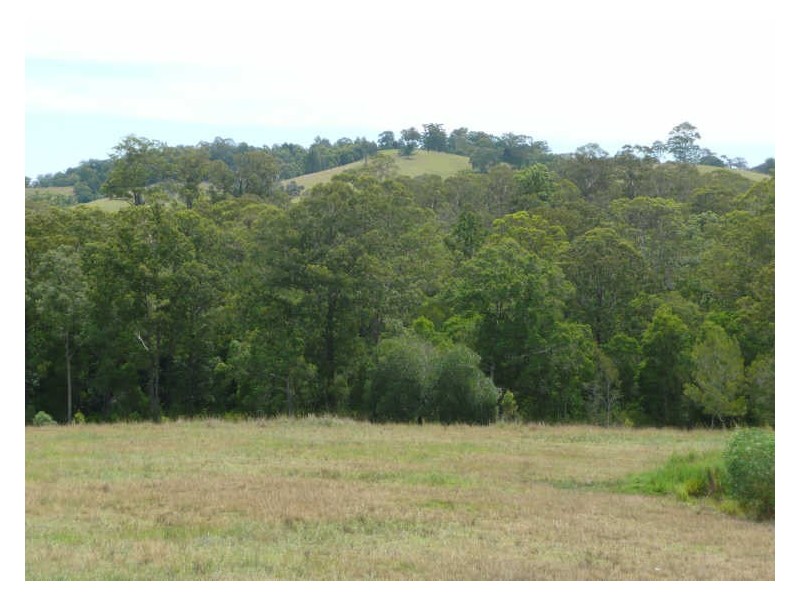 Wingham NSW 2429