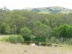 Wingham NSW 2429