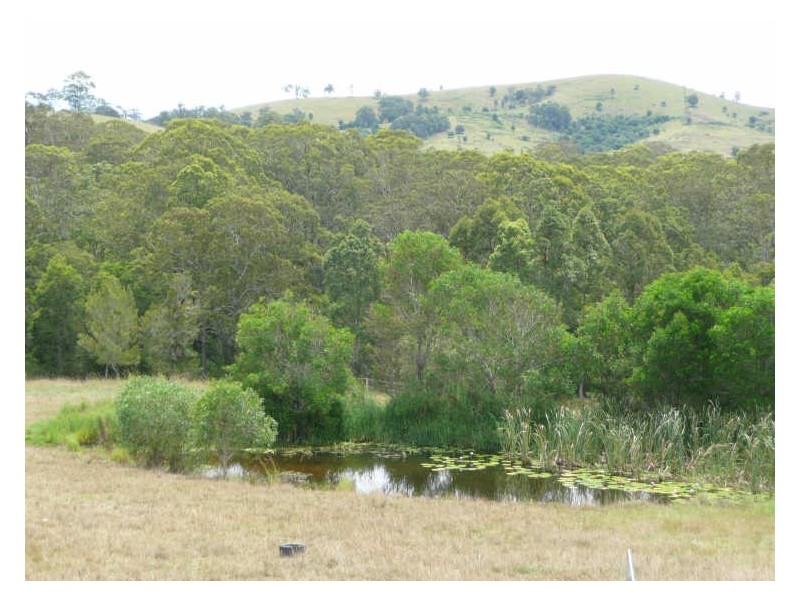 Wingham NSW 2429