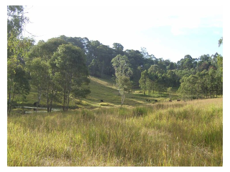 Strathcedar NSW 2429