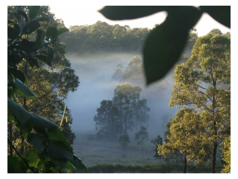 Strathcedar NSW 2429