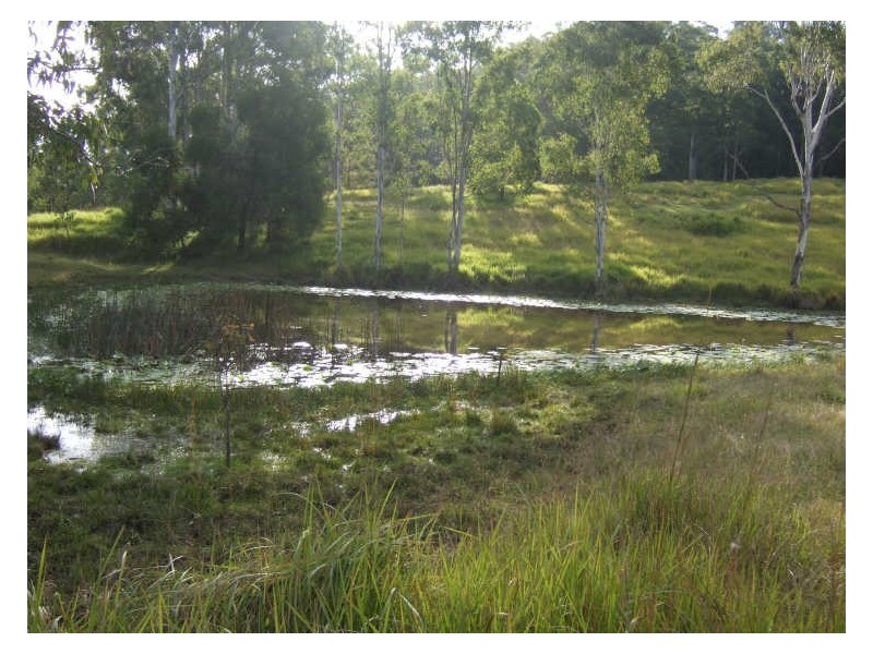 Strathcedar NSW 2429