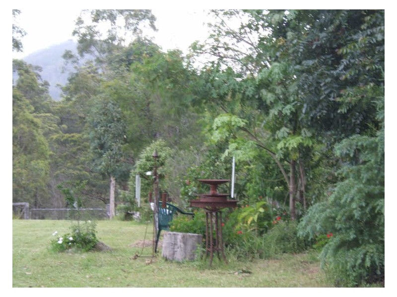 Strathcedar NSW 2429