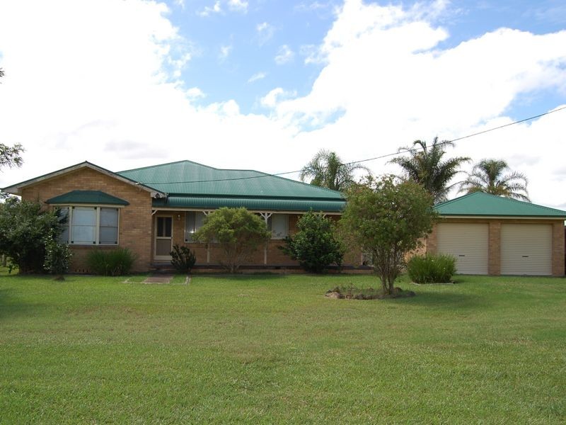 Cedar Party NSW 2429