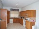 Cedar Party NSW 2429