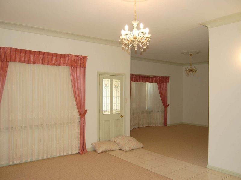 Cedar Party NSW 2429