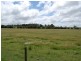 Cedar Party NSW 2429