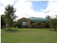 Cedar Party NSW 2429