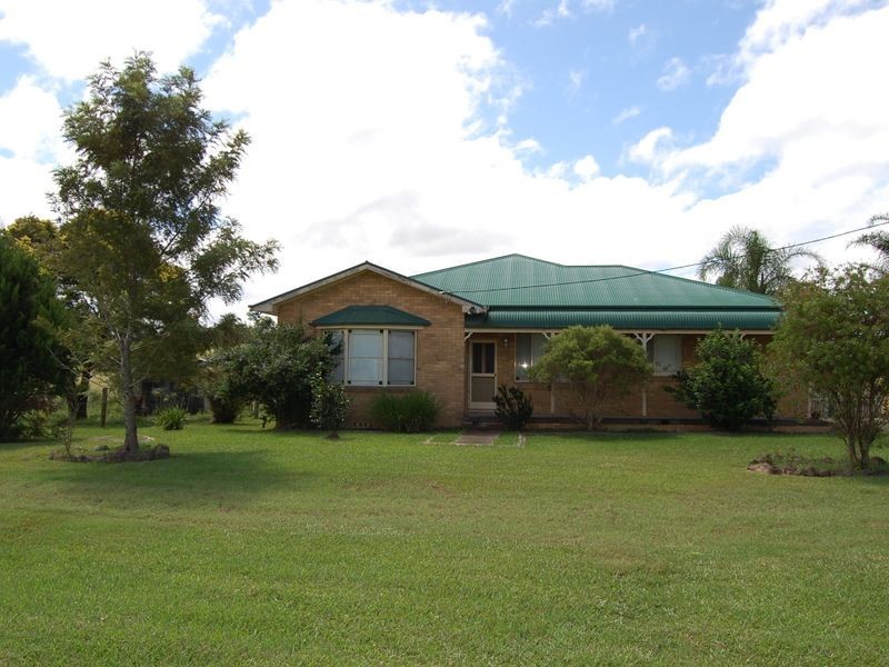 Cedar Party NSW 2429