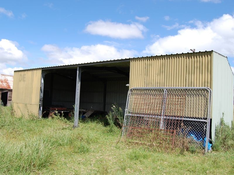 Cedar Party NSW 2429