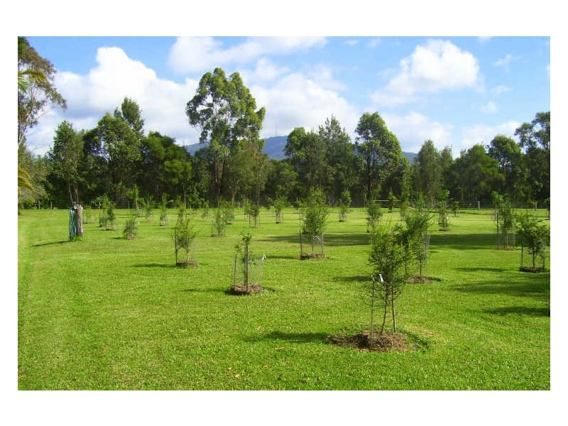 Johns River NSW 2443