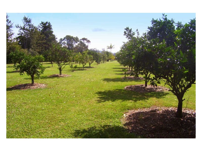 Johns River NSW 2443