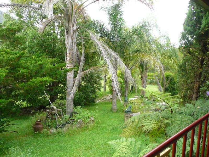 Mount George NSW 2424