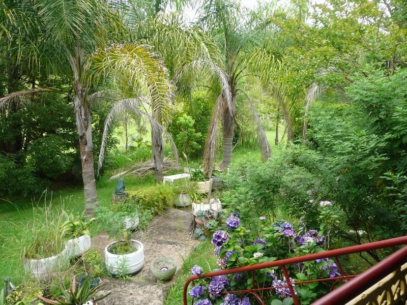 Mount George NSW 2424