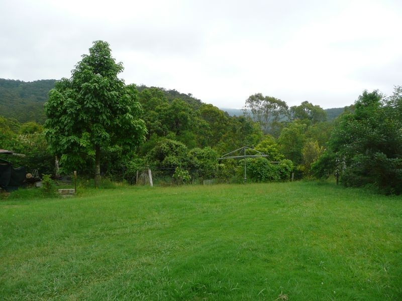 Mount George NSW 2424