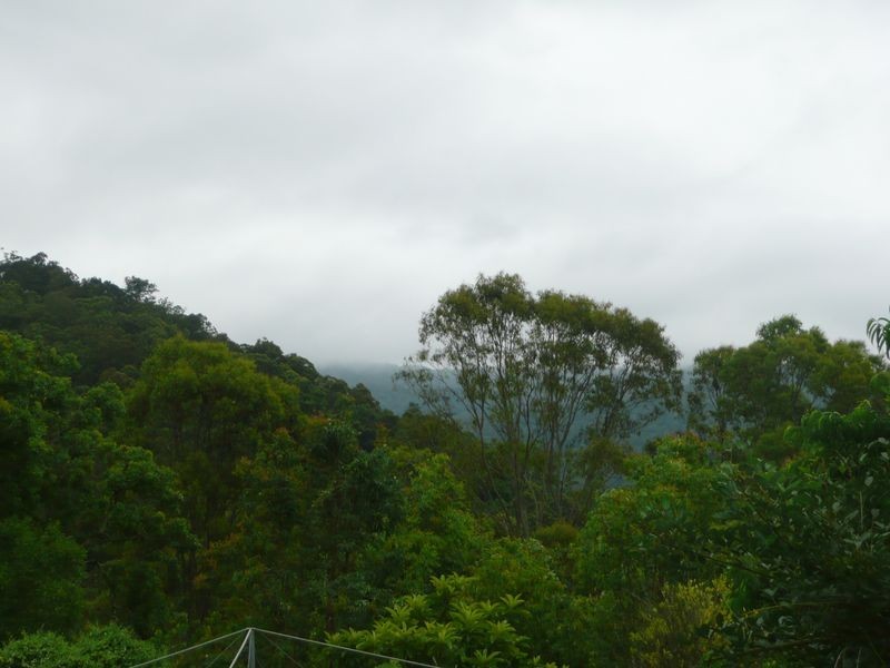 Mount George NSW 2424