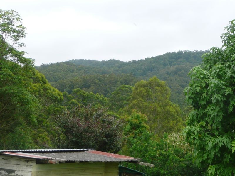 Mount George NSW 2424