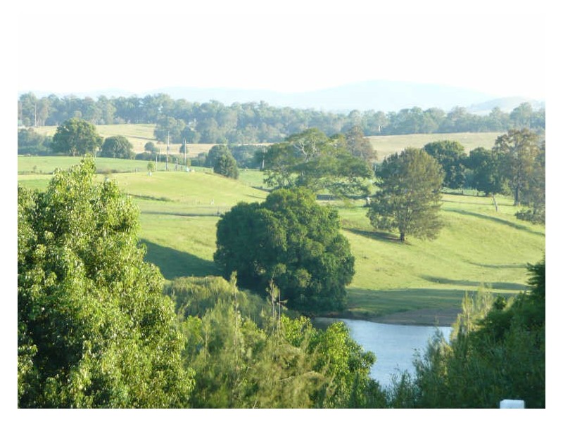 Wingham NSW 2429