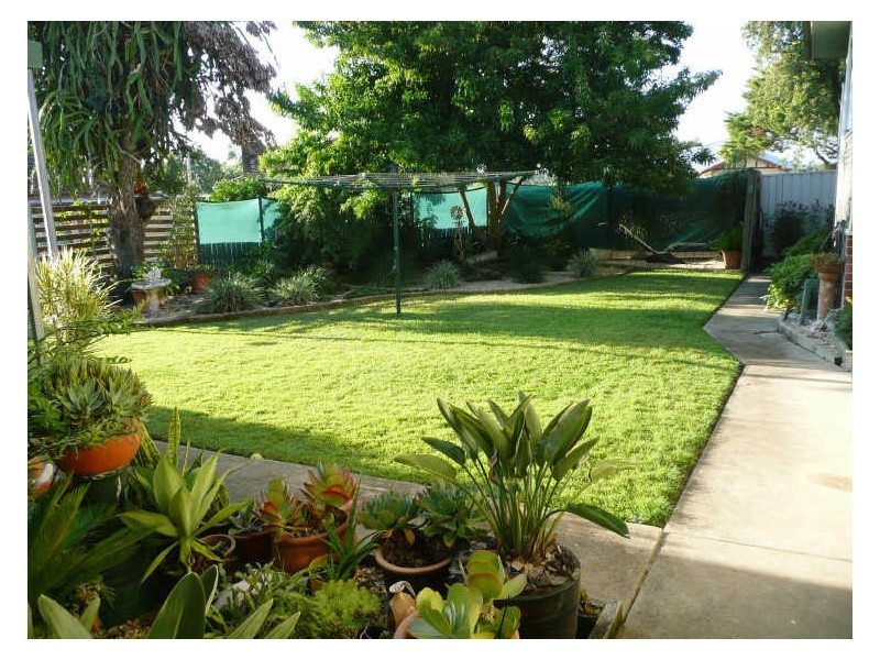 Wingham NSW 2429