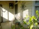 Wingham NSW 2429