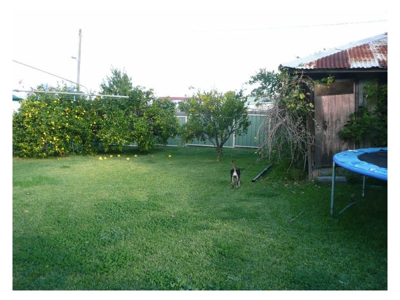 Wingham NSW 2429