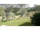 Wherrol Flat NSW 2429