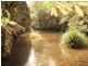 Wherrol Flat NSW 2429
