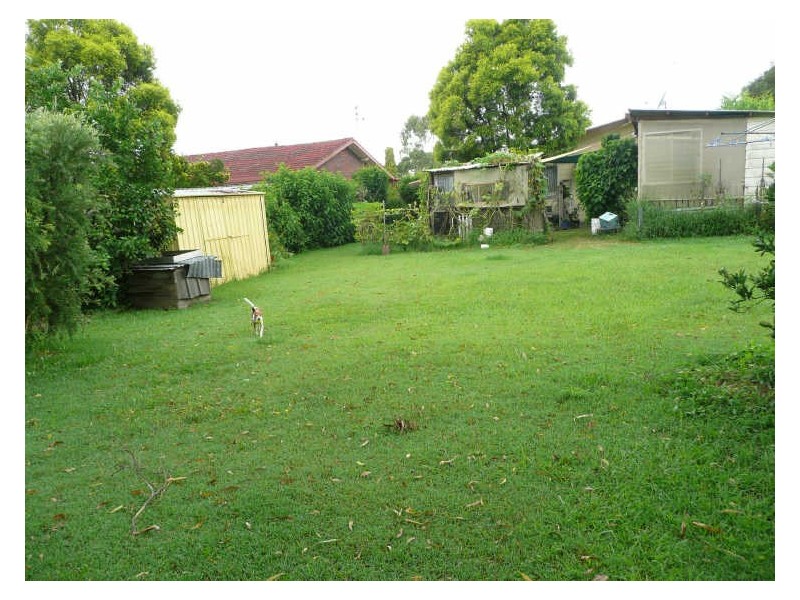 Wingham NSW 2429