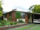 Wingham NSW 2429