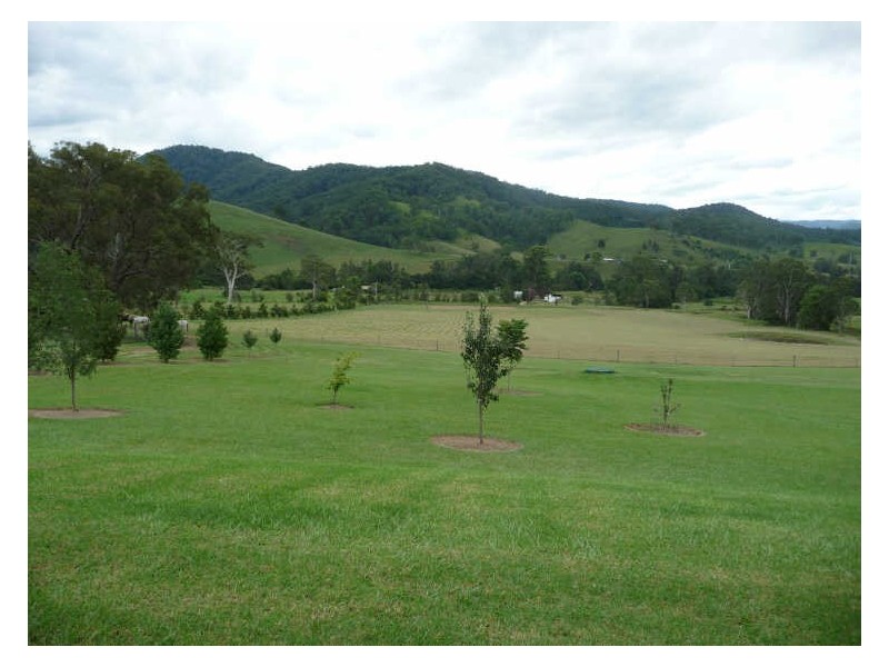 Wherrol Flat NSW 2429