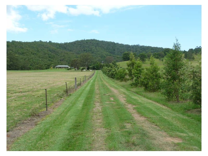 Wherrol Flat NSW 2429
