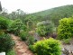 Wherrol Flat NSW 2429
