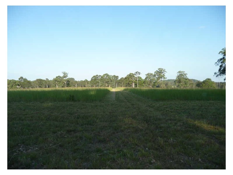 Cundletown NSW 2430