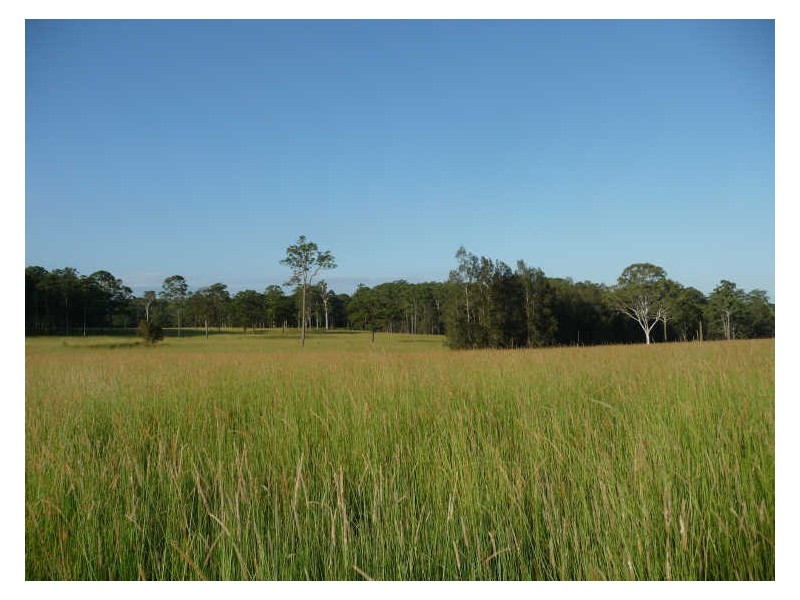 Cundletown NSW 2430