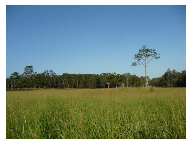 Cundletown NSW 2430