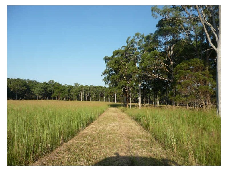 Cundletown NSW 2430