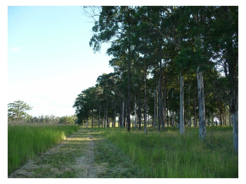 Cundletown NSW 2430