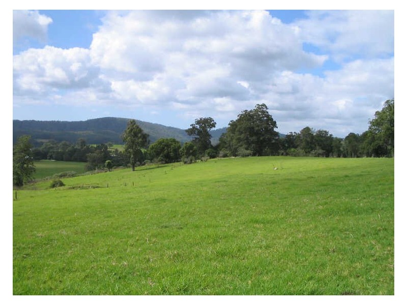 Hannam Vale NSW 2443
