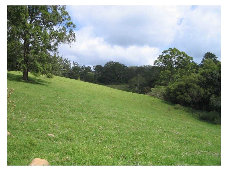 Hannam Vale NSW 2443